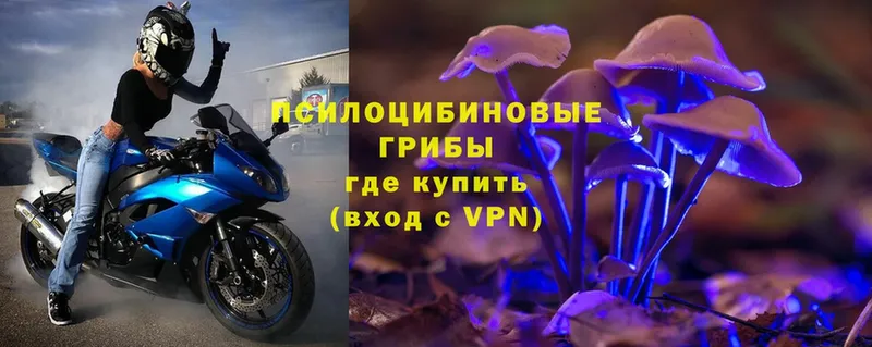 Галлюциногенные грибы Magic Shrooms  Саранск 