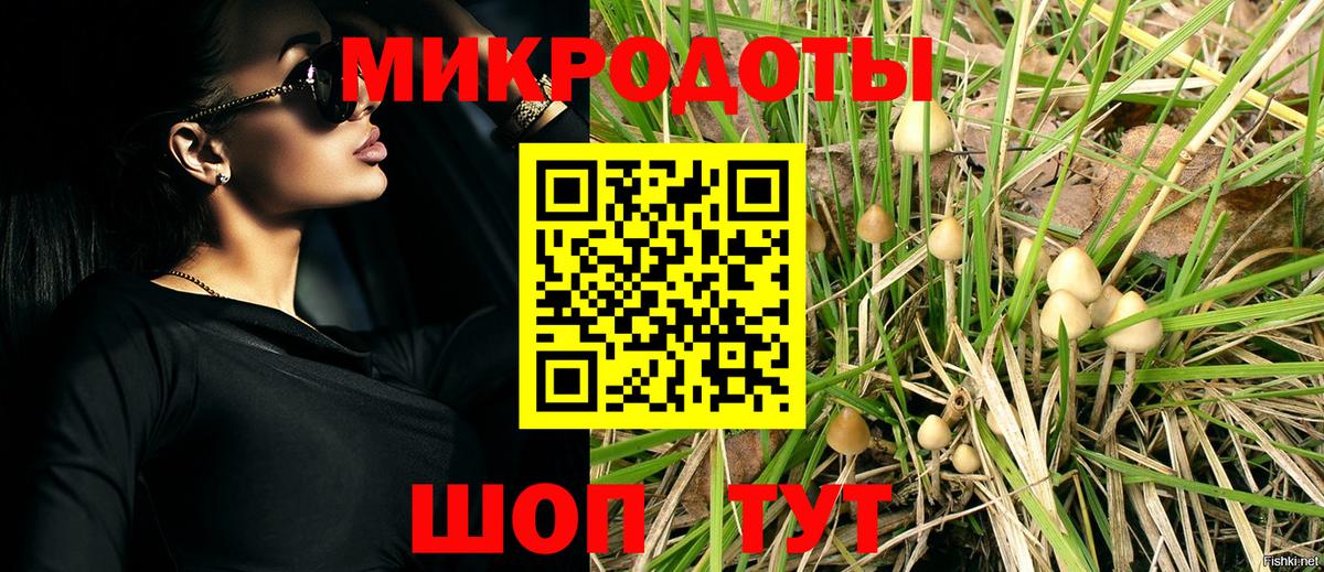закладка  Вход с VPN  Саранск  Псилоцибиновые грибы Magic Shrooms 