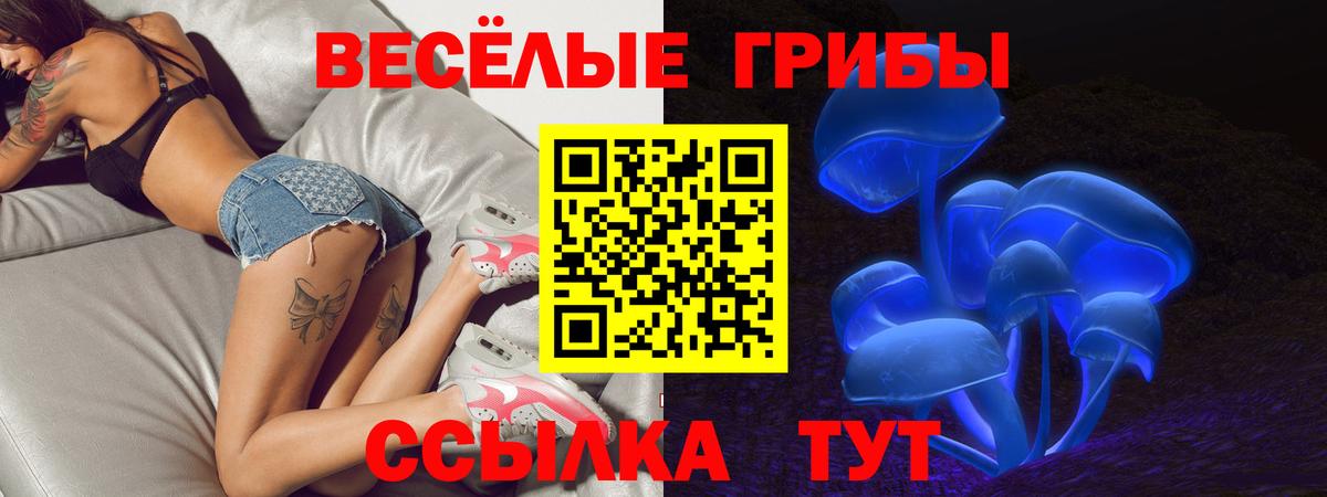 Галлюциногенные грибы мицелий Саранск